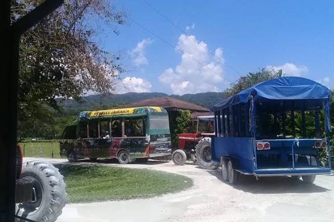 Private YS Falls Tour from Montego Bay - Guide impact: why being on time and informed matters