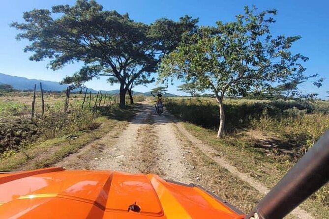 Rasta Safari Atv Experience and Rick's Cafe Private Tour - Comfort, Pace, and Who This Tour Fits Best
