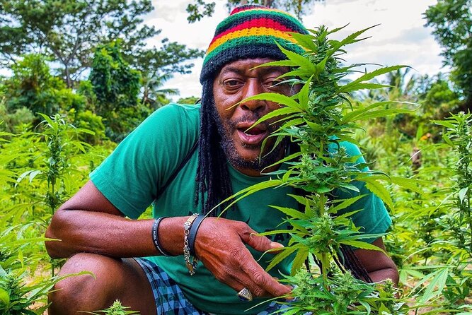 Rastafari Cultural ATV Community Experience from Montego Bay - Key Points You Should Know Before You Go