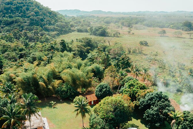 Rastafari Cultural ATV Community Experience from Montego Bay - The ATV Moment: Briefing, Uphill Start, and What “Driveable” Really Means
