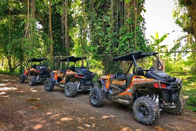 Rastasafari Experience ATV Adventure and Local Day Out - Rastasafari ATV in Montego Bay: What You’re Really Buying