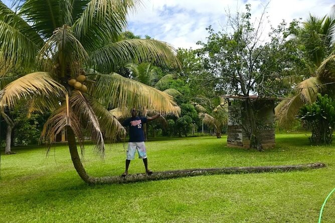 Rastasafari Experience ATV Adventure and Local Day Out - The Mineral Pool Swim and Waterhole Break: A Real Nature Pause