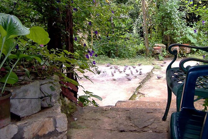 Rockland Bird Sanctuary plus Montego Bay Highlights & Shopping Private Tour - Montego Bay highlights and shopping time: gifts without the extra hassle
