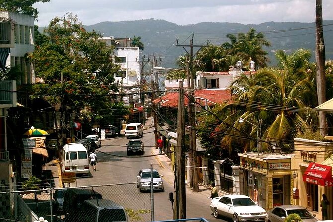 Rockland Bird Sanctuary plus Montego Bay Highlights & Shopping Private Tour - Timing, weather, and cruise-day realities