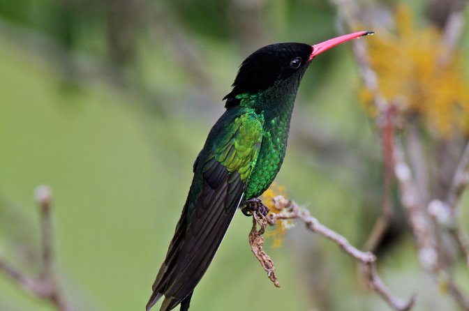 Rockland Bird Sanctuary Private Tour - Stop 1 at Rocklands: What Happens When You Arrive