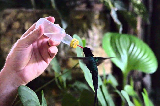 Rockland Bird Sanctuary Private Tour - Hummingbirds on Your Finger: The Moment That Sells the Tour