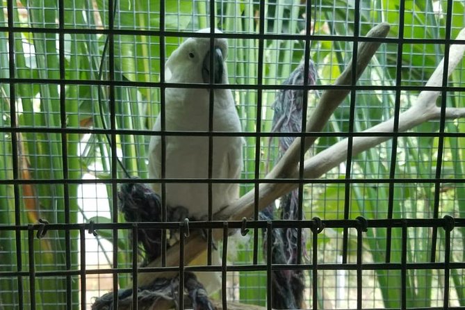Rockland Bird Sanctuary Private Tour - Your Guide and Why It Changes Everything