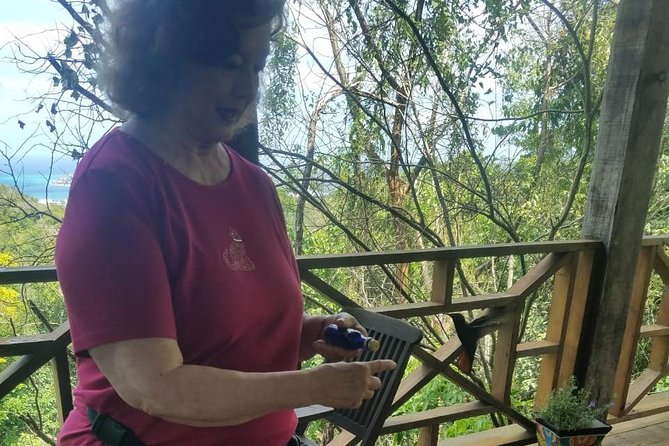 Rockland Bird Sanctuary Private Tour - Who This Tour Fits Best (And Who Might Want a Different Plan)