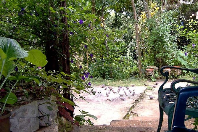 Rockland Bird Sanctuary Private Tour - The Drive: About 20 Minutes Out to the Hills