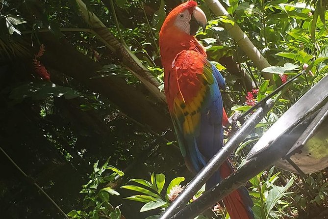 Rockland Bird Sanctuary Tour [Transportation] Hotel Pick-Up - The Ride and Time Planning: Short, Focused, and Weather-Dependent