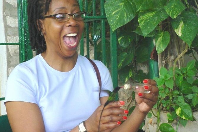 Rocklands Bird Sanctuary & City Highlights plus Shopping from Montego Bay - Key Takeaways Before You Go