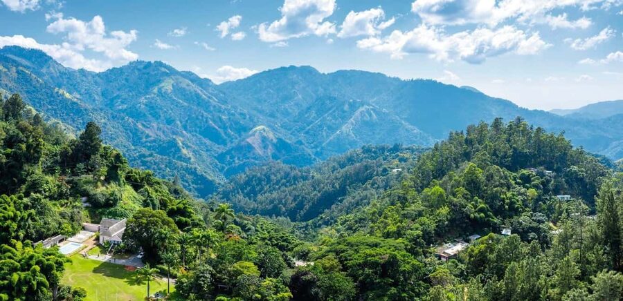 Shared/Private Full Day Blue Mountains Tour -Top Attractions - Jamaican Lunch the Local Way: What’s Included and Why It Matters