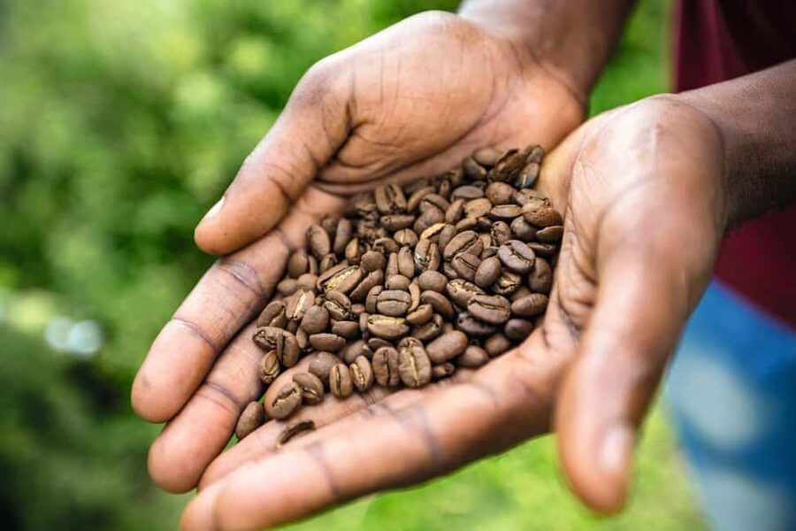 Shared/Private Full Day Blue Mountains Tour -Top Attractions - Blue Mountains Morning: Craighton Estate and Coffee Tasting