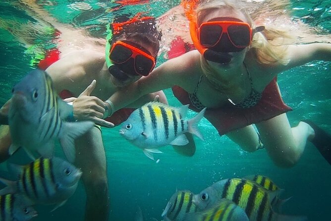 Snorkeling and Shopping in Montego Bay with Hotel pickup - Why this Montego Bay plan fits when you want ocean time, not a long day