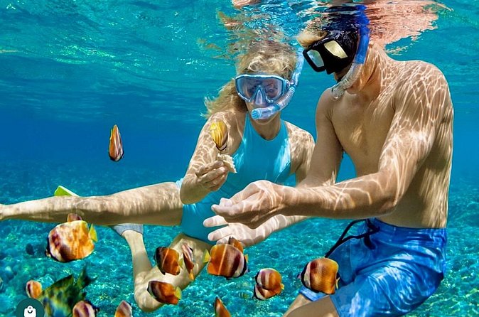 Snorkeling and Shopping in Montego Bay with Hotel pickup - Getting the most out of snorkeling in Montego Bay (without overthinking it)