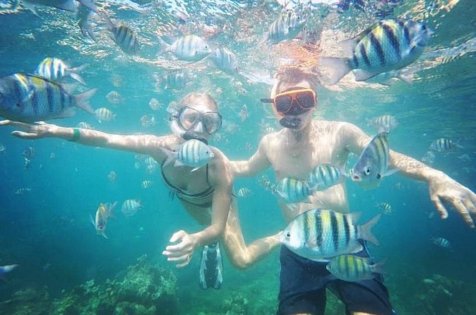 Snorkeling and Shopping in Montego Bay with Hotel pickup - Who this tour suits best—and who might want a different style