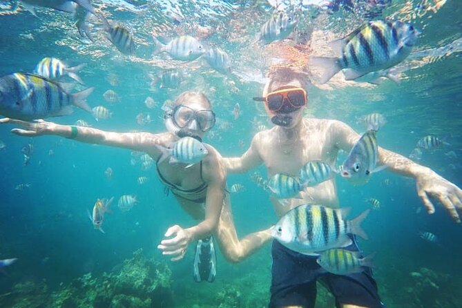 Snorkeling and Shopping in Montego Bay with Hotel pickup - Hotel pickup and timing: the part that deserves your attention