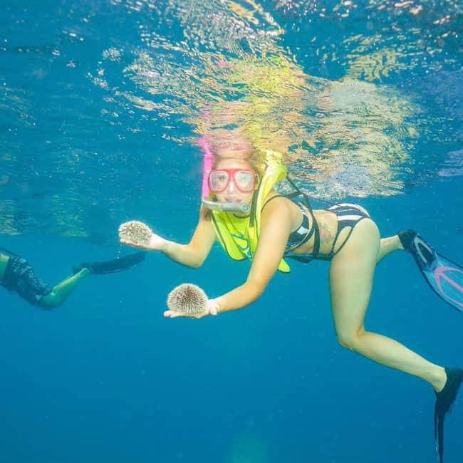 Snorkeling in Montego Bay with Transportation - Key Things I’d Pay Attention To