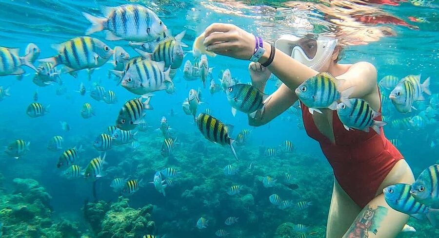 Snorkeling in Montego Bay with Transportation - Getting There: Pickup Points and a Simple Coach Plan