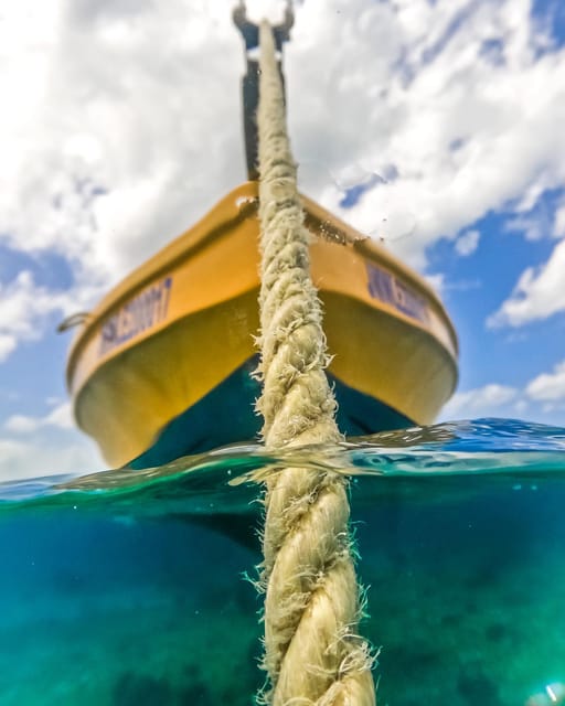 Snorkeling in Montego Bay with Transportation - Should You Book This Montego Bay Snorkeling With Transportation?