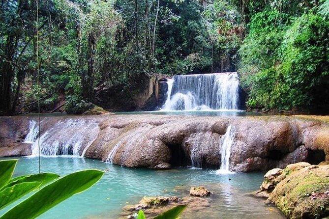 South Coast Cultural Tour History and Nature - Black River Safari: crocodiles, birds, and the calm of a long river