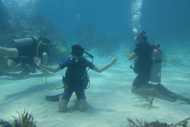 Two Tank Dive in Montego Bay w/Certified Divers - Getting to Sunset Beach: Logistics That Can Make or Break It