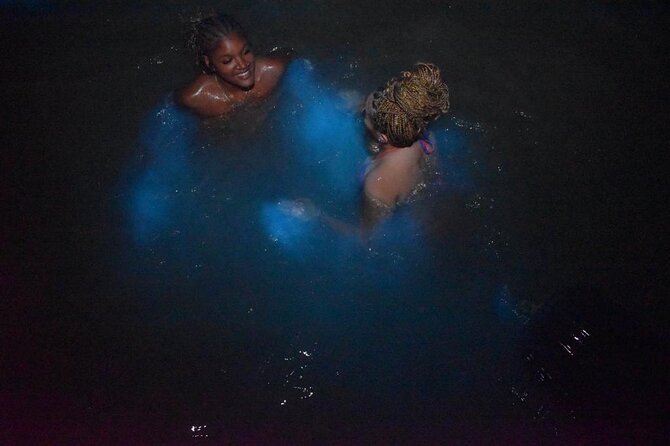 World famous Luminous lagoon Night tour with transportation - Who this private Luminous Lagoon tour is best for