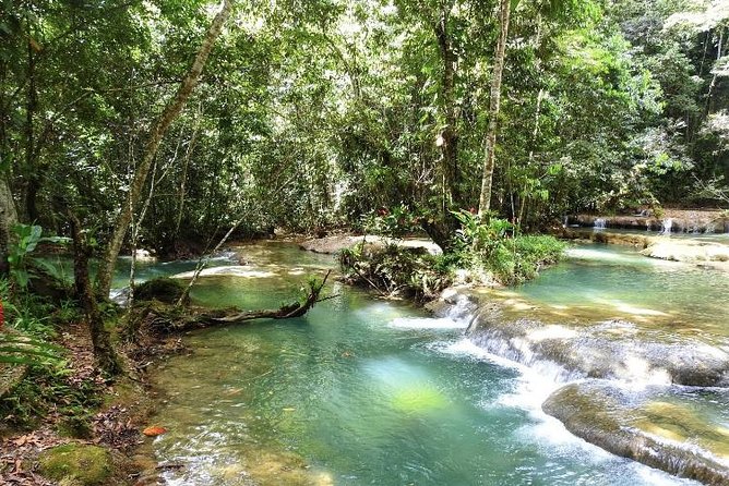 YS Falls and Appleton Estate Private Rum Tour - Private tour logistics: what “just you and your party” changes