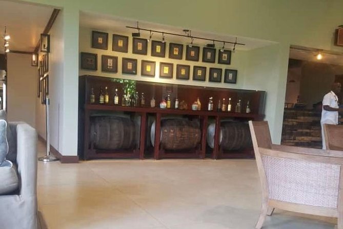 YS Falls and Appleton Estate Private Rum Tour - Who this tour is perfect for (and who should reconsider)