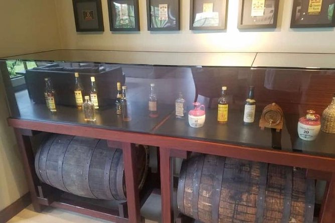 YS Falls and Appleton Estate Private Rum Tour - The drive from Montego Bay: windy, curvy, and plan-worthy