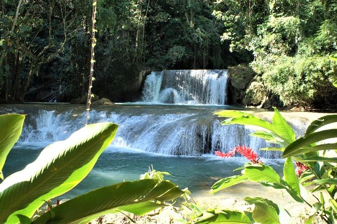 YS Falls and Black River Safari Guided Tour from Montego Bay and Grand Palladium - Lunch at the Riverside Dock: Fuel Before the Crocodile Show