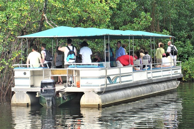YS Falls and Black River Safari Guided Tour from Montego Bay and Grand Palladium - Getting to YS Falls: The Mountain Drive You’ll Actually Enjoy