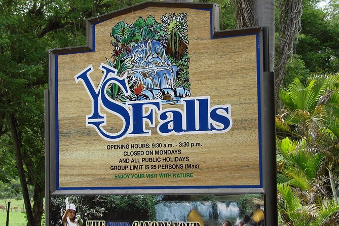 YS Falls, Black River Safari, and Floyd's Pelican Bar Day-Trip (Transportation) - Why This Private Transfer Works for a Long Jamaican Day