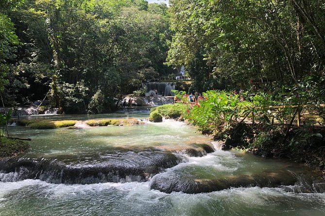 YS Falls, Black River Safari, and Floyd's Pelican Bar Day-Trip (Transportation) - Black River Safari at Swaby’s: Boat Time Through Wetlands and Crocodile Chances