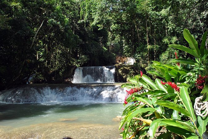 YS Falls, Black River Safari, Appleton Rum Tour OR Pelican Bar (Choose Up to 3) - Appleton Estate Rum Experience: Factory Tour Energy With Tastings