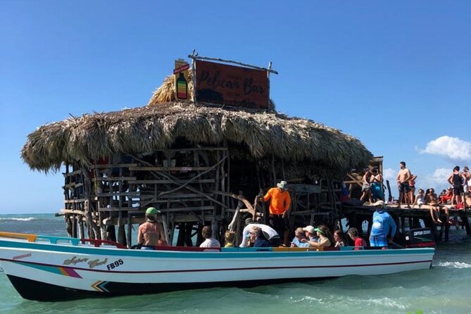 YS Falls, Black River Safari, Appleton Rum Tour OR Pelican Bar (Choose Up to 3) - Price and What You Actually Get for $195
