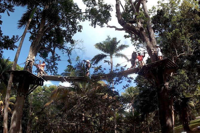 Zip Line over the Dunns River Falls - Montego Bay to Dunn’s River Falls: the drive that matters
