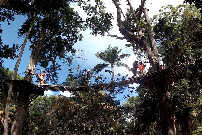 Zip Line over the Dunns River Falls - Waterfall exploration time: making the most of your schedule