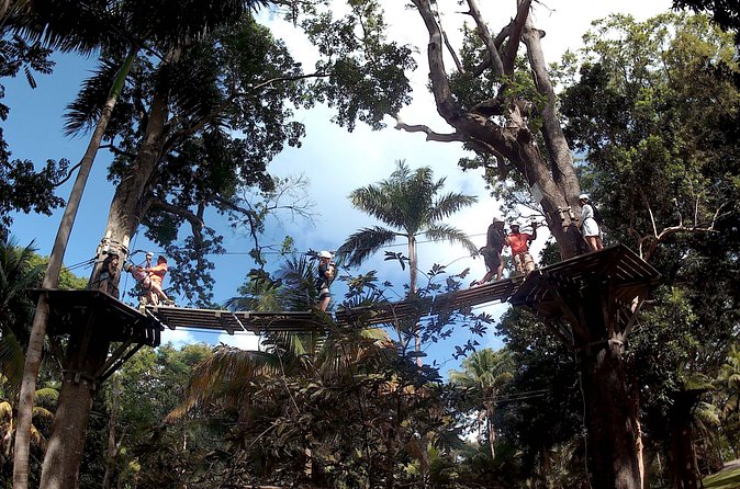 Zip Line over the Dunns River Falls - Price and value: is about $192 per person fair?