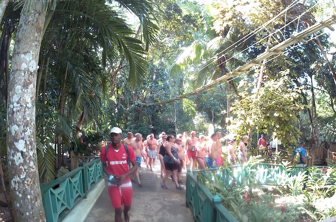 Zip Line over the Dunns River Falls - Private tour pacing: why your group can feel easier
