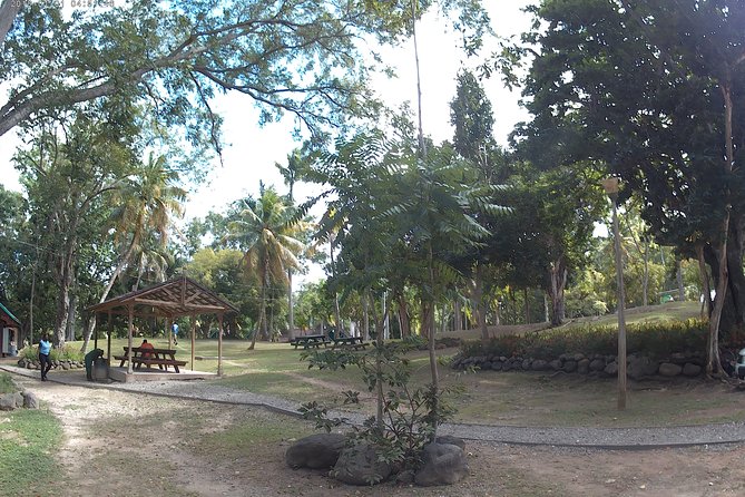 Zip Line over the Dunns River Falls - Who should book this zipline over Dunn’s River?