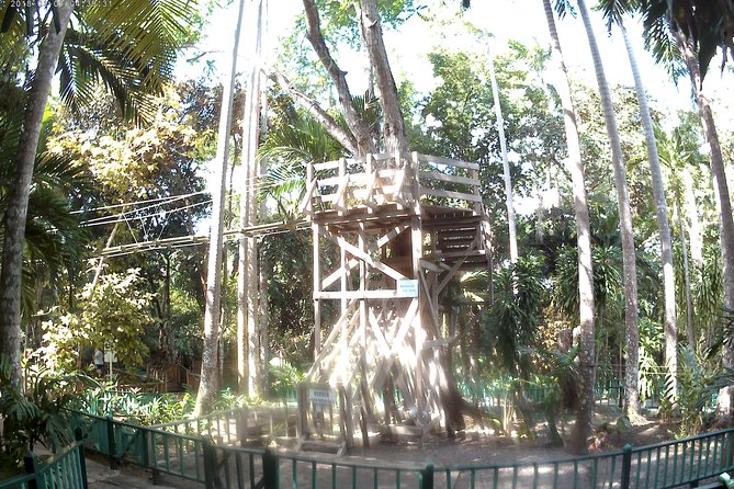 Zip Line over the Dunns River Falls - Arriving early: special access and getting started fast