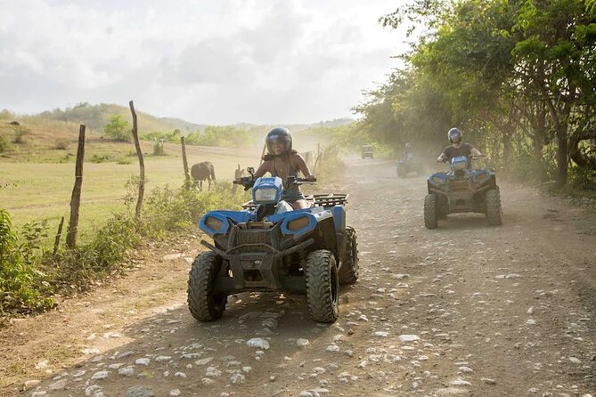 Zip-lining/Horseback Rides/Cat & Atv Inclusive Act with Transpo From Montego Bay - ATV 4-wheeler safari: desert-like trails, puddles, and the license rule