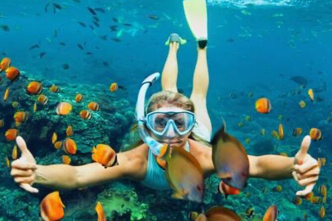 Zip-lining/Horseback Rides/Cat & Atv Inclusive Act with Transpo From Montego Bay - Should you book this Montego Bay package?